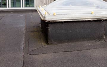 disadvantages of Dalabrog An Iar flat roofs
